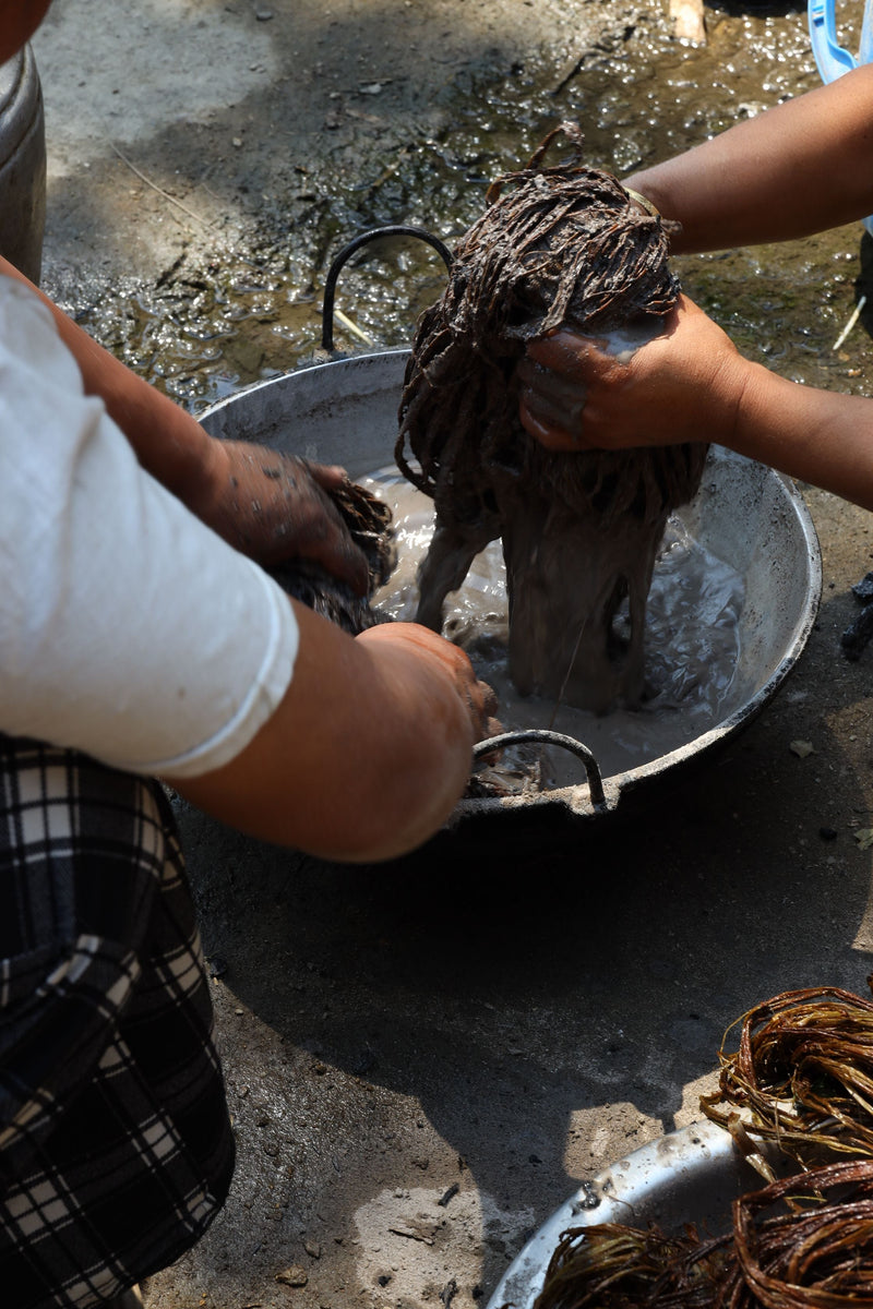 From Plant to Fiber｜Allo Fiber Processing