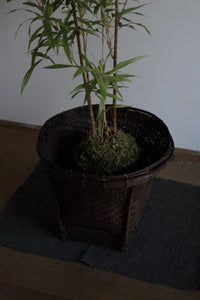 Talieng HARVEST & STORAGE BASKET｜DARK