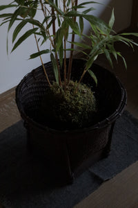 Talieng HARVEST & STORAGE BASKET｜DARK